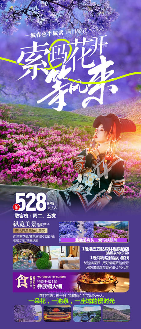 源文件下载【索玛花开等风来】编号：58960030025993254