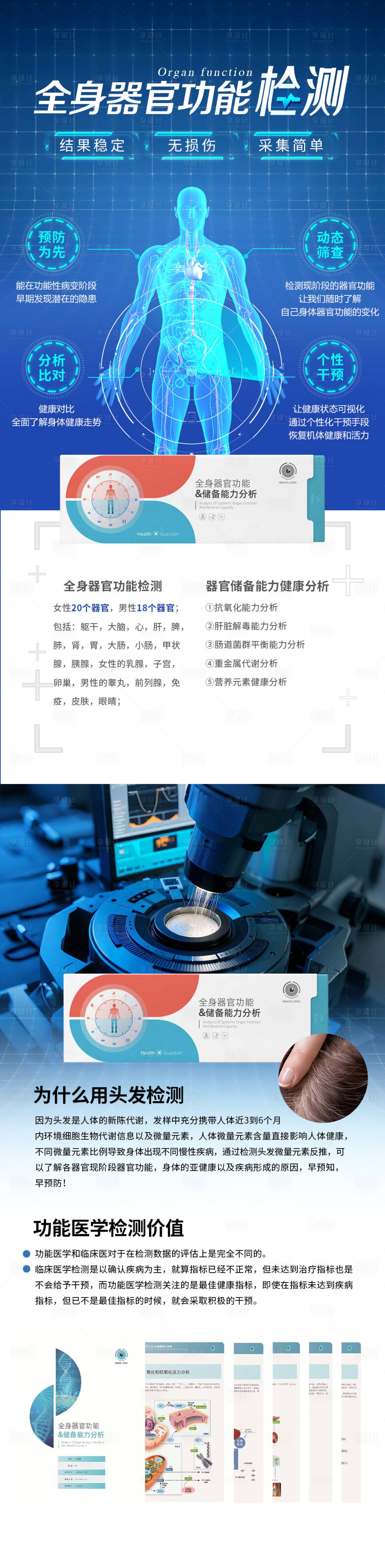 源文件下载【全身器官检测系列海报】编号：91400029924018896