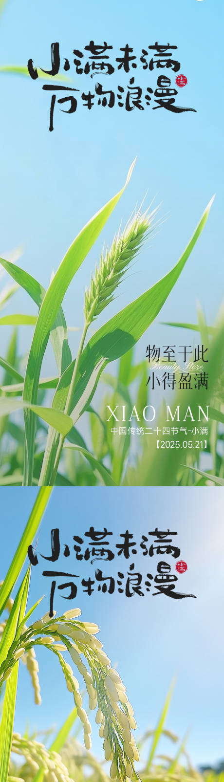 源文件下载【享设计】搜索编号：66320030414174119【小满节气海报】