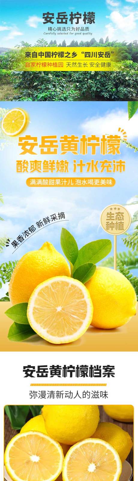 源文件下载【安岳黄柠檬详情页】编号：85660030085308993
