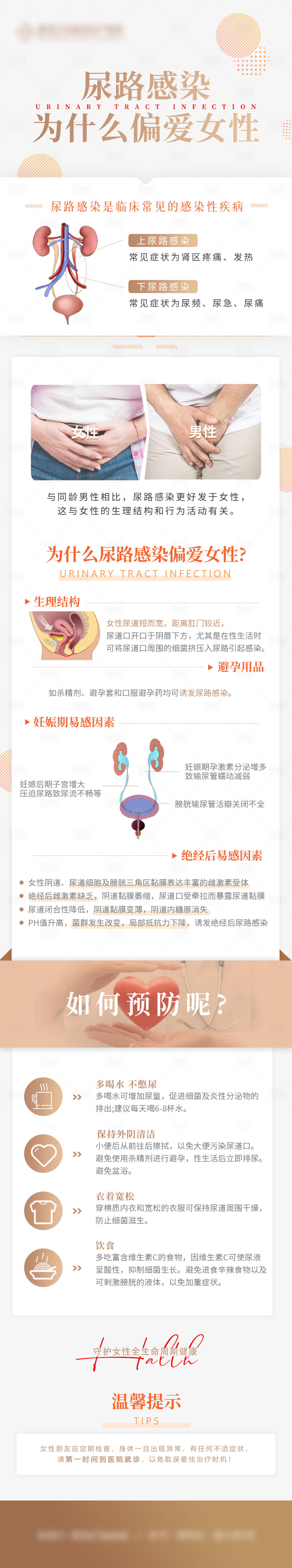 源文件下載【享設(shè)計】搜索編號：77640030015194990【尿路感染 】