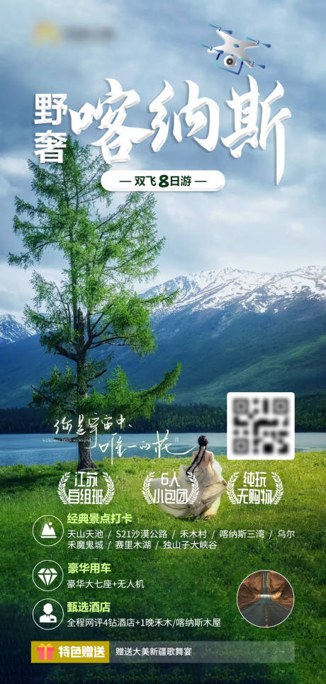 新疆野奢喀纳斯旅游海报