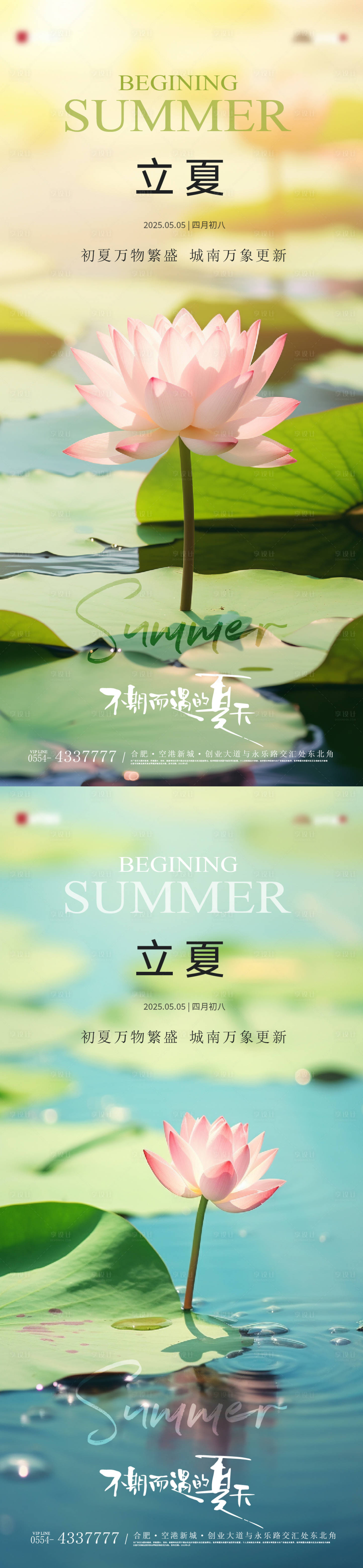 源文件下載【立夏荷花風景節氣海報】編號：97750030387379347