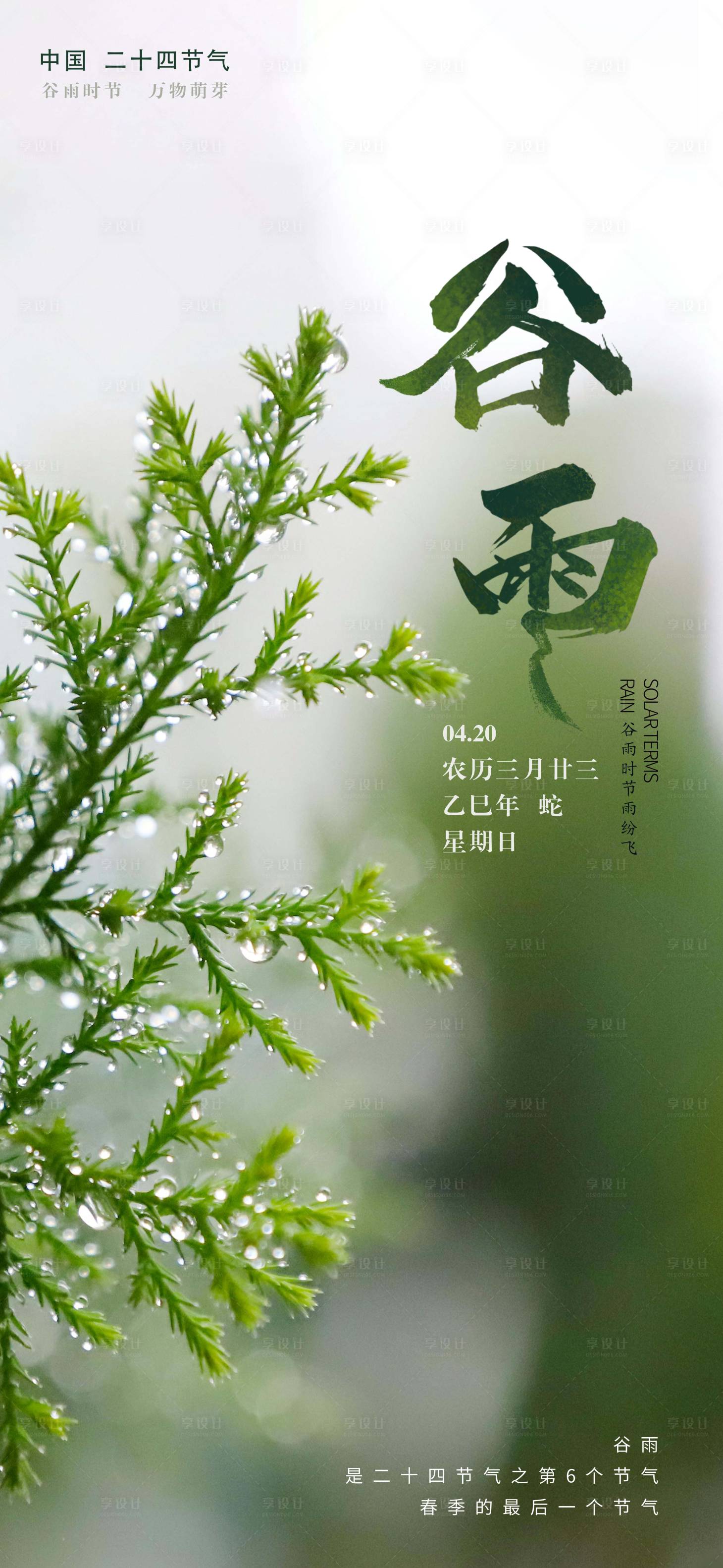 源文件下載【谷雨海報】編號：61100030248697617