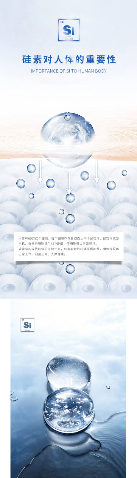 源文件下載【成分海報介紹】編號：52340030320012369