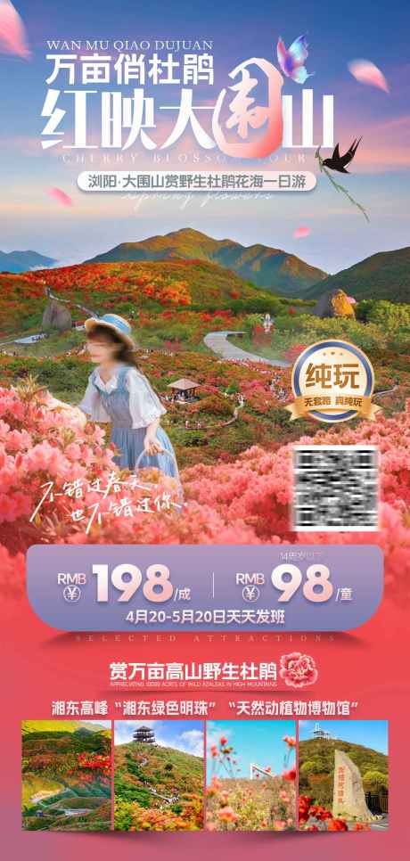 万亩俏杜鹃红映大围山