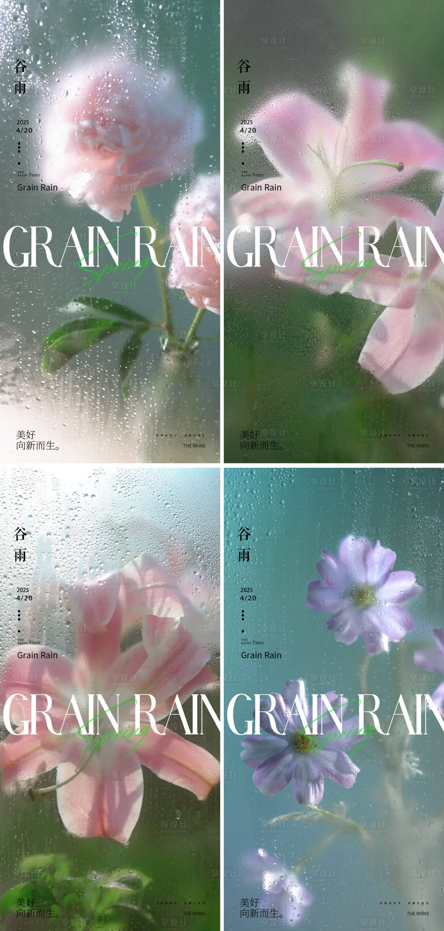源文件下载【谷雨玫瑰花海报】编号：89260030071624903
