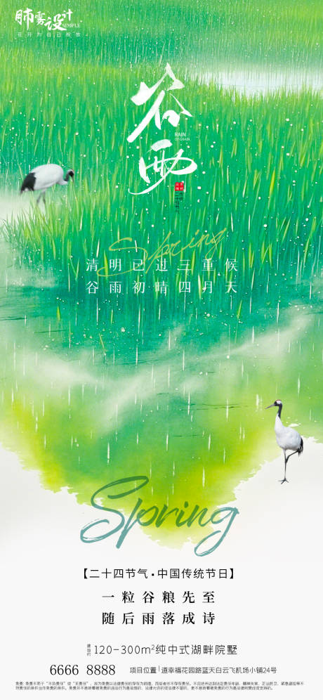谷雨节气海报