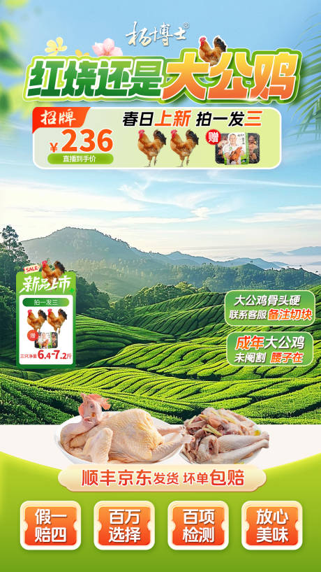 源文件下载【春日绿色清新简约食品直播间】编号：14460030244296948