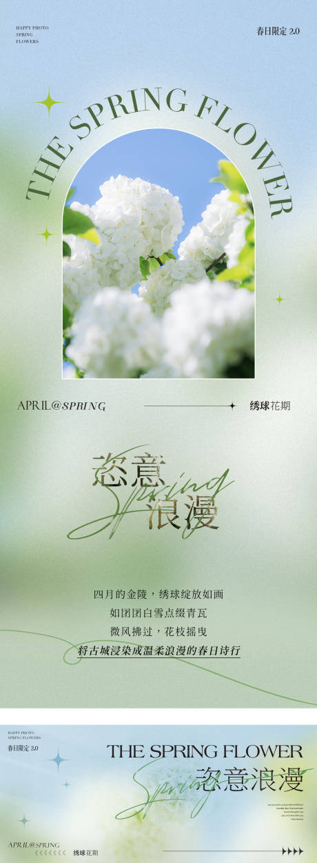 源文件下载【春日绣球肆意浪漫海报设计】编号：43630030275629240