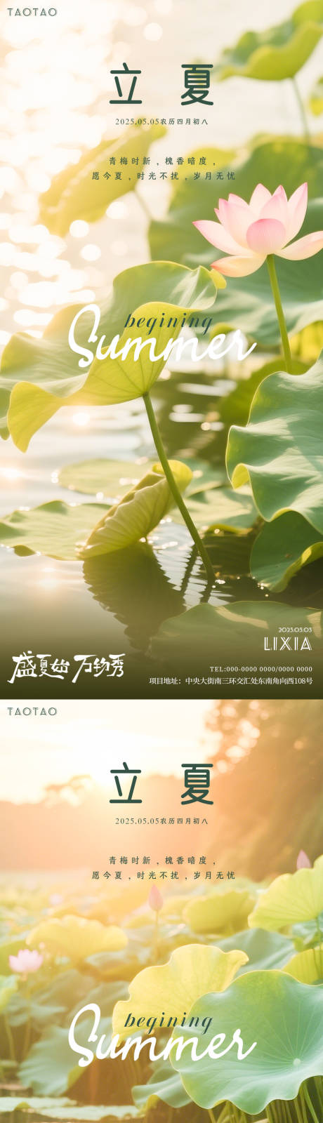 源文件下載【立夏節氣荷花海報】編號：55020030495353353