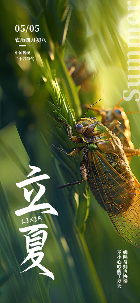 源文件下载【二十四节气立夏借势海报】编号：76840030116674724