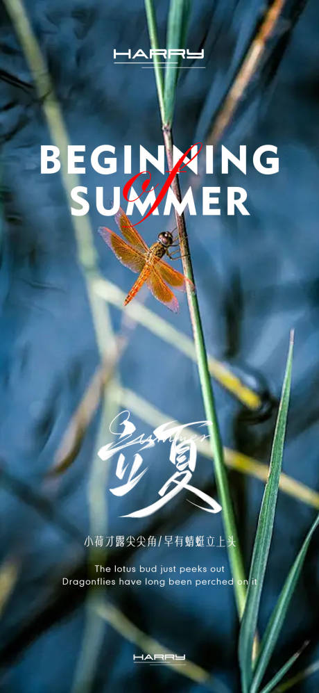 源文件下载【立夏节气海报】编号：35080030298165866