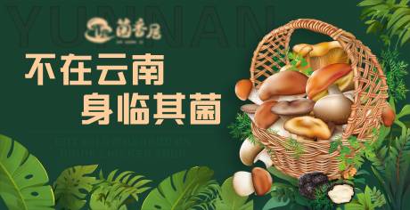 野生菌背景