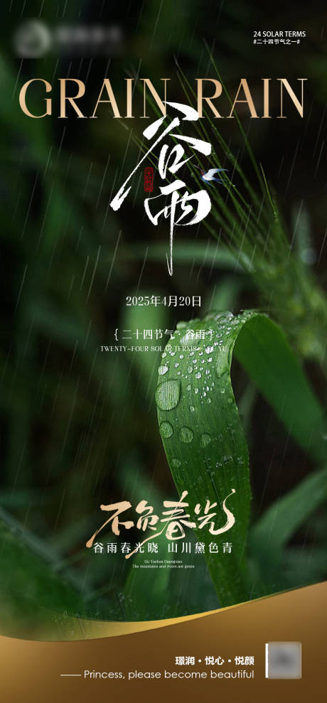美业谷雨节气海报
