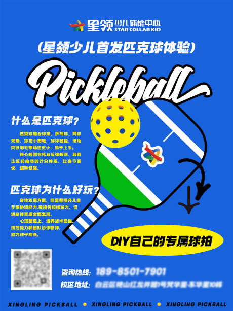 少儿匹克球项目介绍海报