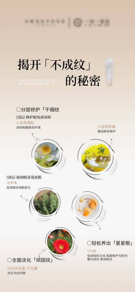 源文件下载【眼霜眼油产品成分海报】编号：16930030498219301