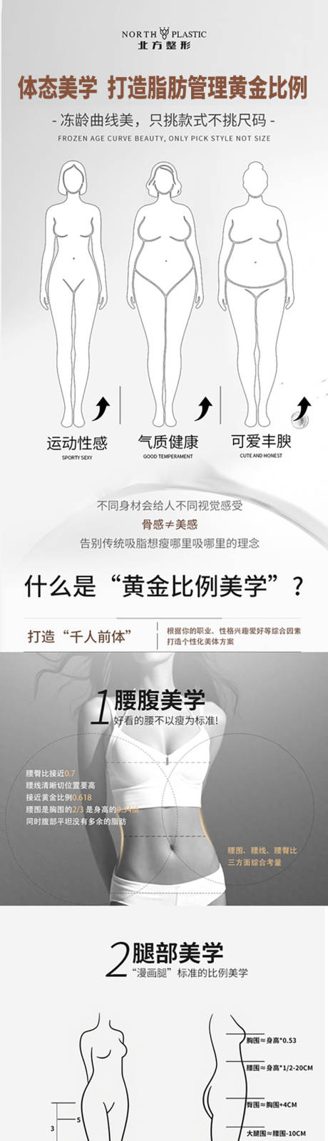 医美体态美学科普长图