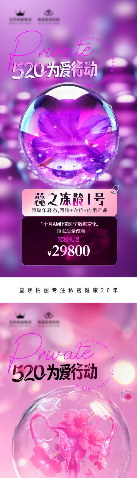 源文件下载【私密冻龄】编号：59350031041986877