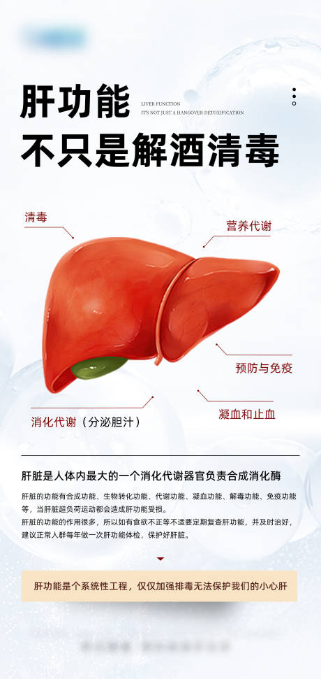 源文件下载【肝功能不只是解酒清毒】编号：75450030978375181