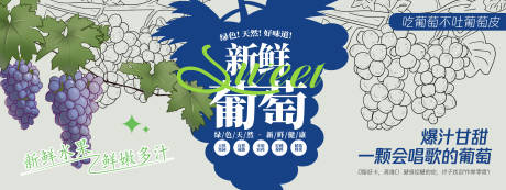源文件下载【享设计】搜索编号：92900030572644112【新鲜葡萄背景板】