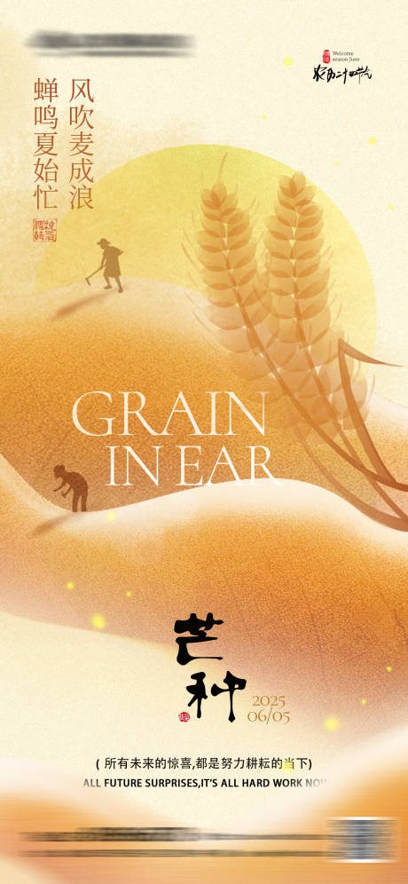 芒种节气海报