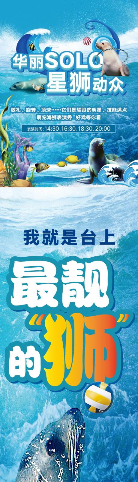 源文件下载【海狮表演秀海洋主题活动长图海报】编号：53050030625829953