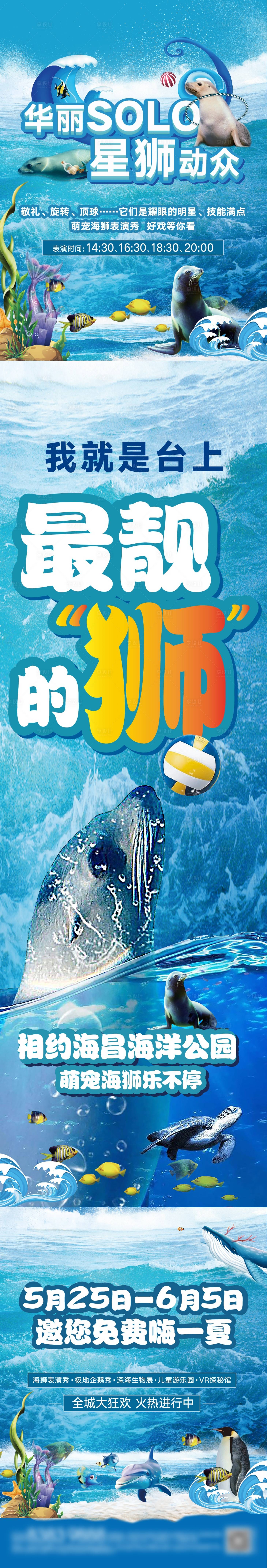 源文件下载【享设计】搜索编号：53050030625829953【海狮表演秀海洋主题活动长图海报】