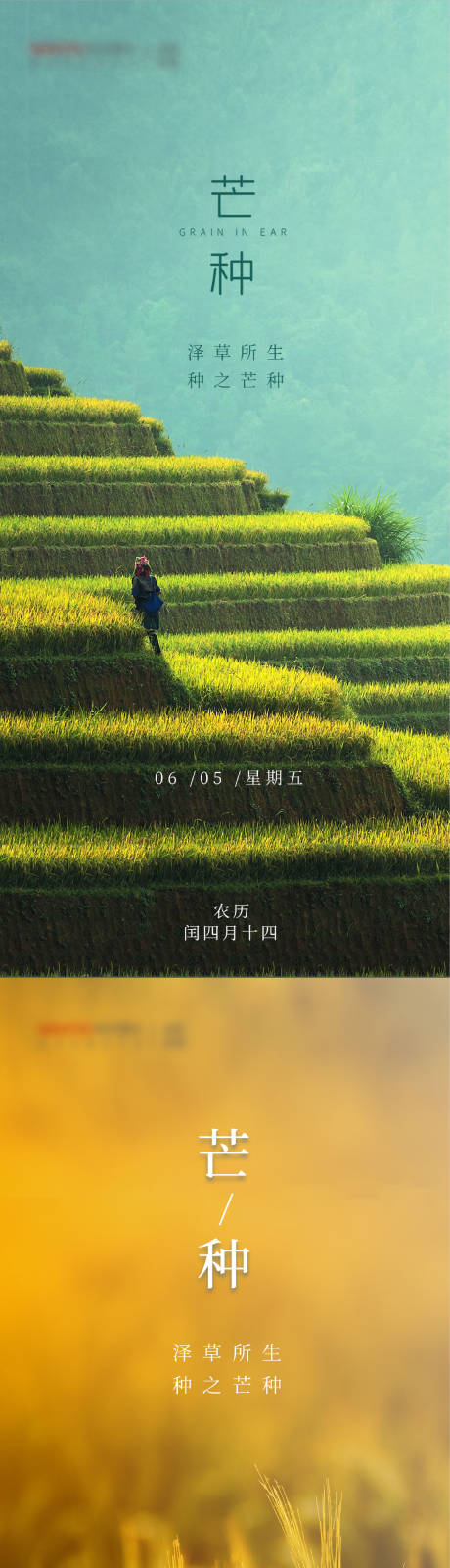 源文件下载【享设计】搜索编号：29880031071799806【芒种海报】