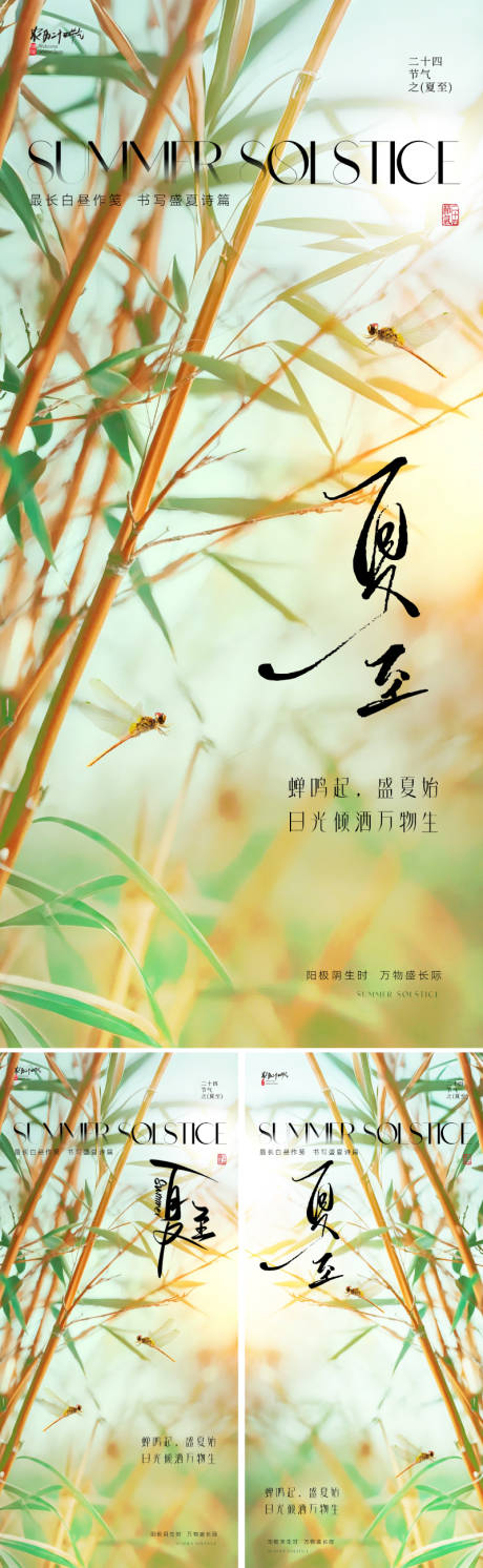 源文件下載【夏至節氣系列海報】編號：10880031030557217