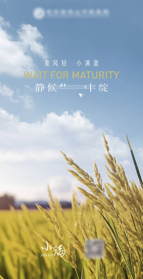 源文件下载【小满节气海报】编号：56060030639864890