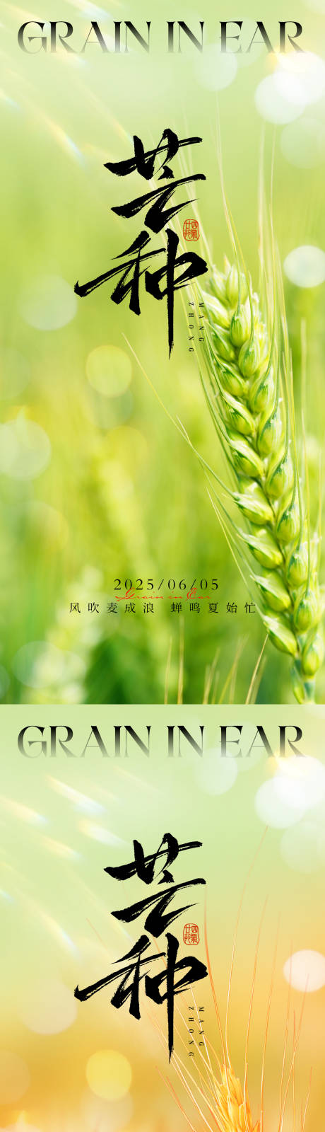 源文件下载【芒种节气海报】编号：96310030838283896