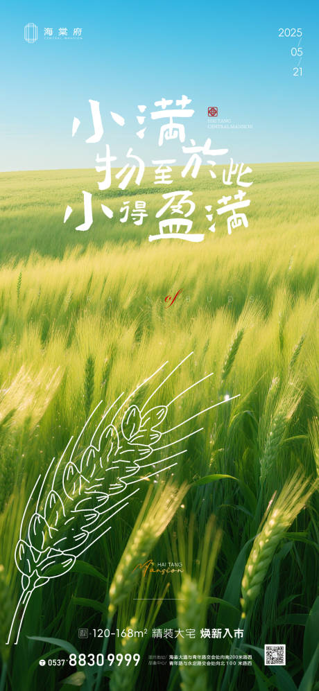 源文件下载【地产小满节气海报】编号：46060030800848445