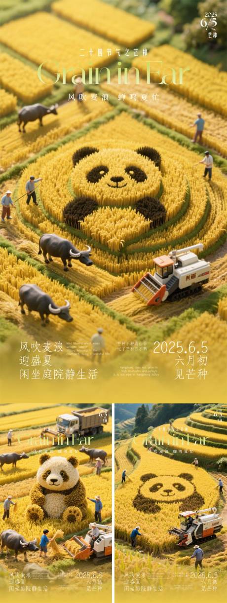 源文件下載【享設計】搜索編號：15700030535418553【芒種海報】