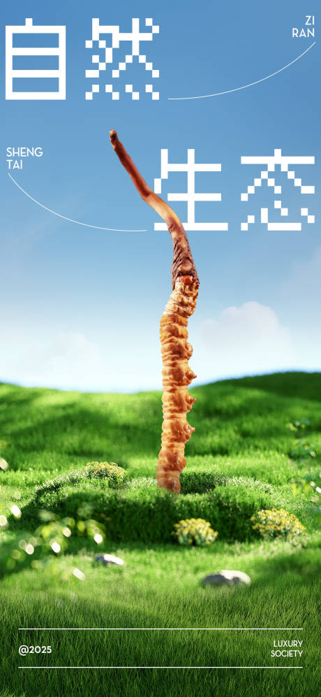 源文件下載【生態自然蟲草海報】編號：86500031028107560