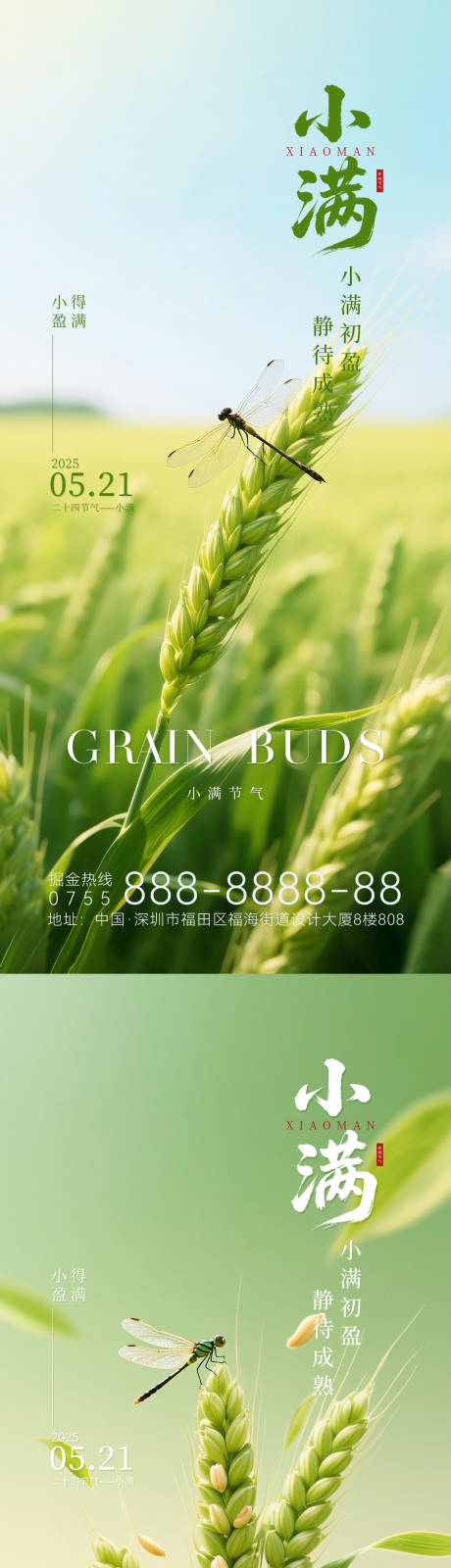 源文件下载【小满节气系列海报】编号：23880030655196457