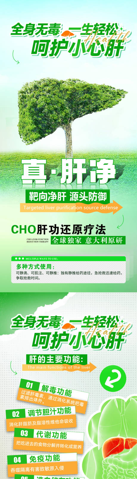 源文件下载【呵护肝健康知识海报】编号：60580031052633988