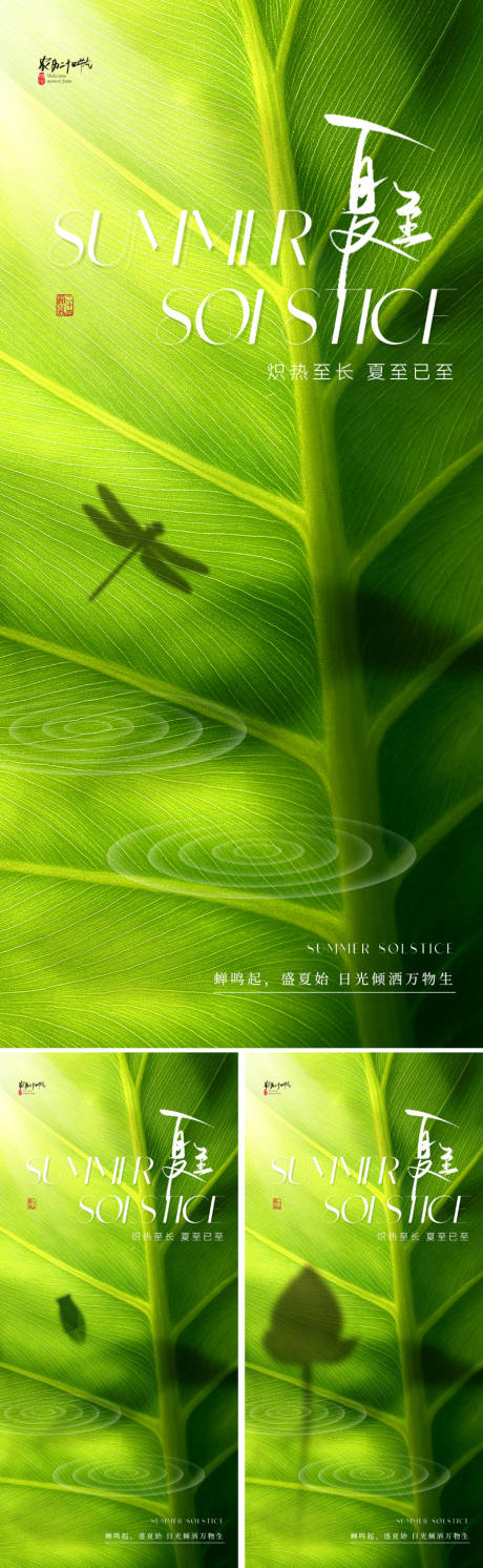 源文件下载【地产美业夏至节气海报】编号：50930030934883723
