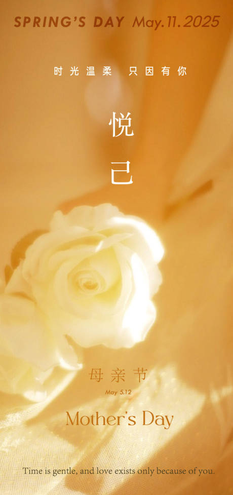 源文件下载【母亲节康乃馨玫瑰花情人节粉色优惠券菜】编号：20770030535021698