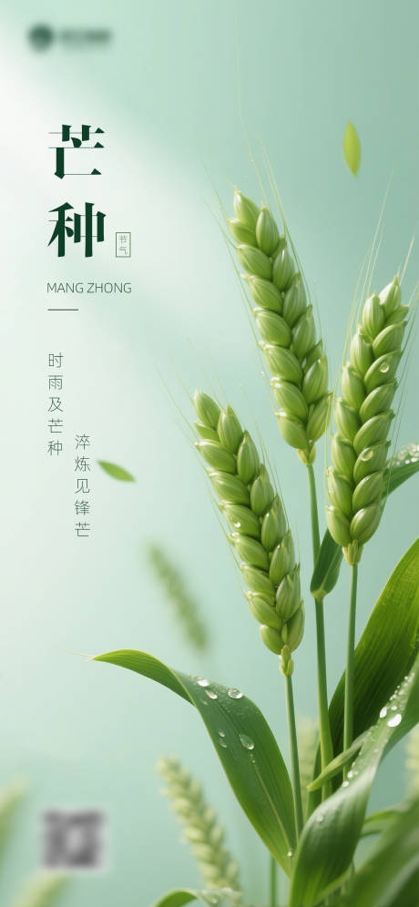 芒种节气主题海报