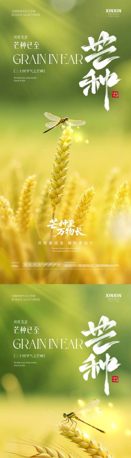 源文件下載【地產芒種節氣海報】編號：24120030965284410