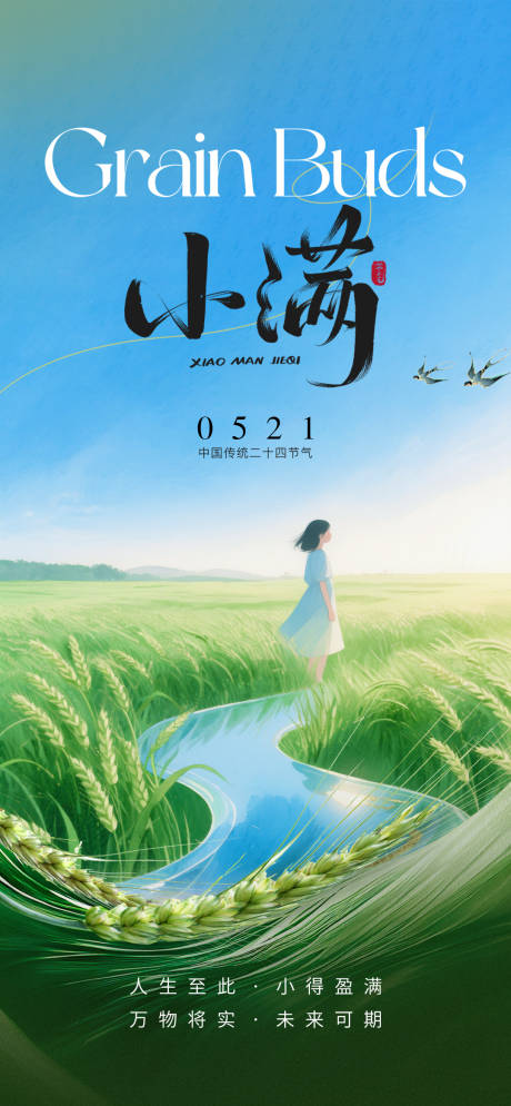 小满节气海报