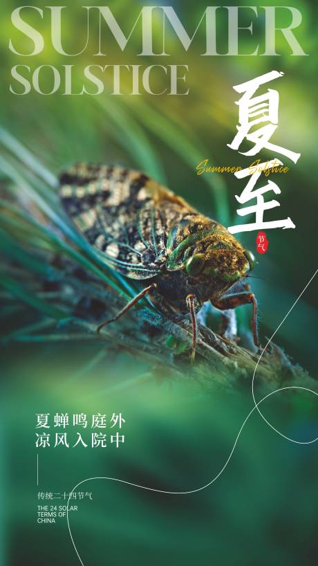 源文件下载【夏至节气海报】编号：47020031002306752