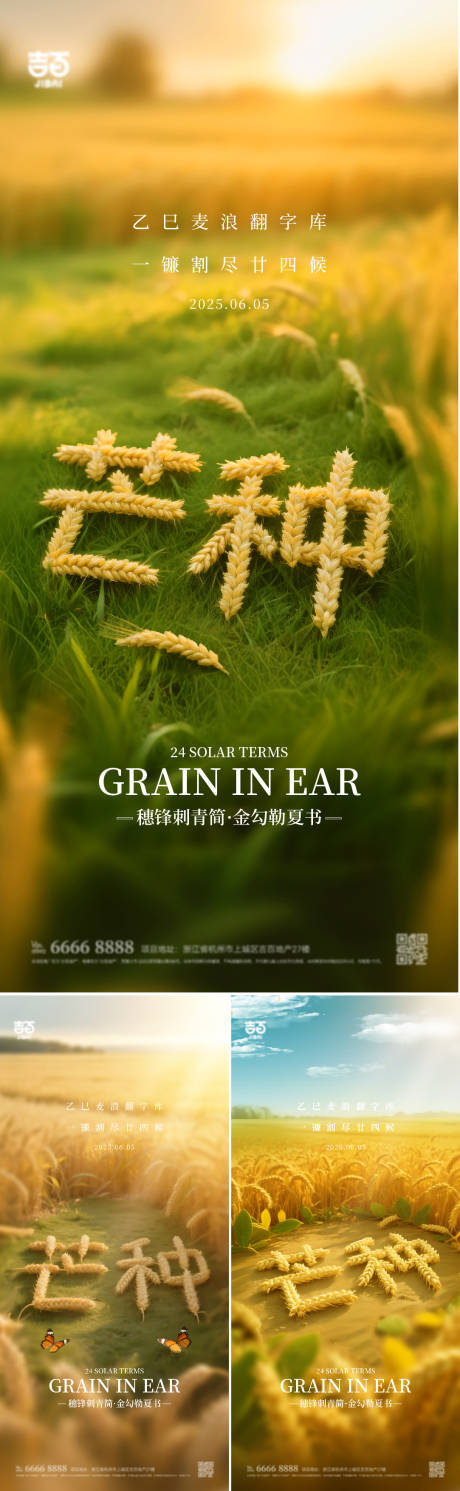 芒种节气系列海报