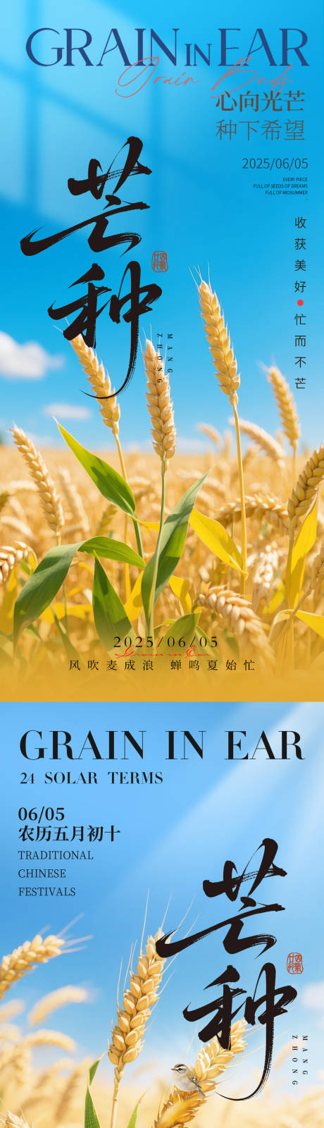 源文件下载【芒种二十四节气地产海报】编号：69490030913575886