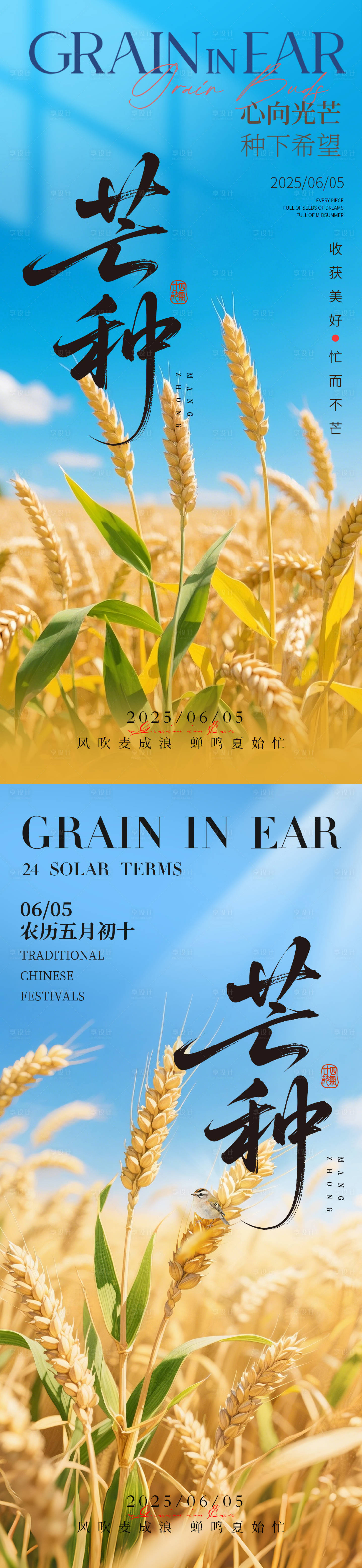 源文件下载【芒种二十四节气地产海报】编号：69490030913575886