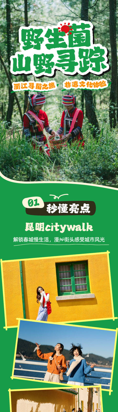 云南野生菌山野寻味详情页