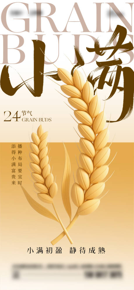 源文件下载【小满节气海报】编号：28840030729667573