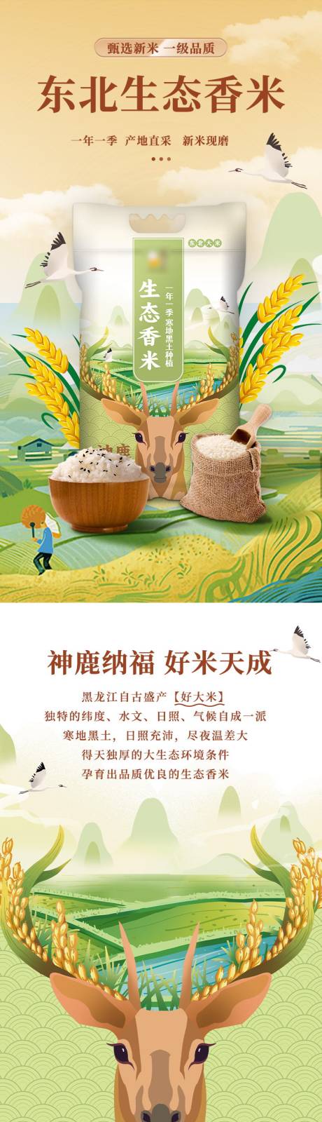 源文件下載【享設計】搜索編號：84420030888493889【電商糧食大米詳情頁】