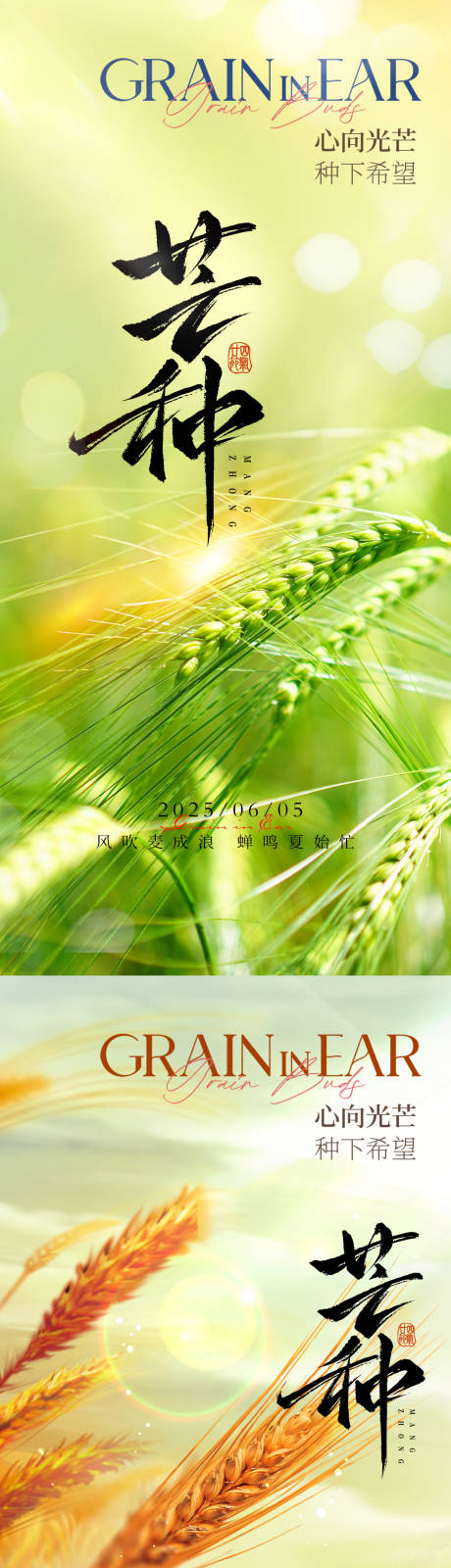 源文件下载【享设计】搜索编号：61180030871095347【芒种二十四节气地产海报】